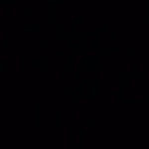 Meet your Posher, Diego